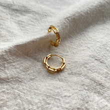 Charger l'image dans la galerie, Loyal